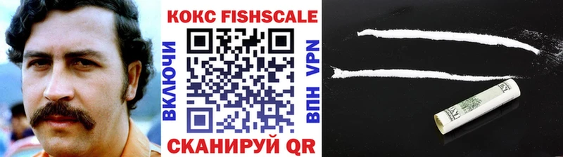 КОКАИН Fish Scale  Купить закладки  Ленск 