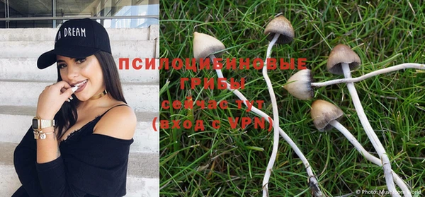 дмт Баксан